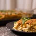 Creamy Shrimp Enchiladas Square
