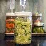 Spicy jalapeño sauerkraut recipe