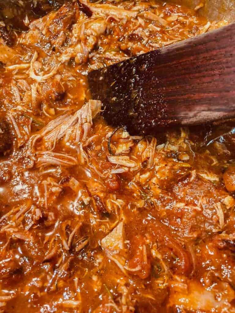 shredded pork in pork ragu