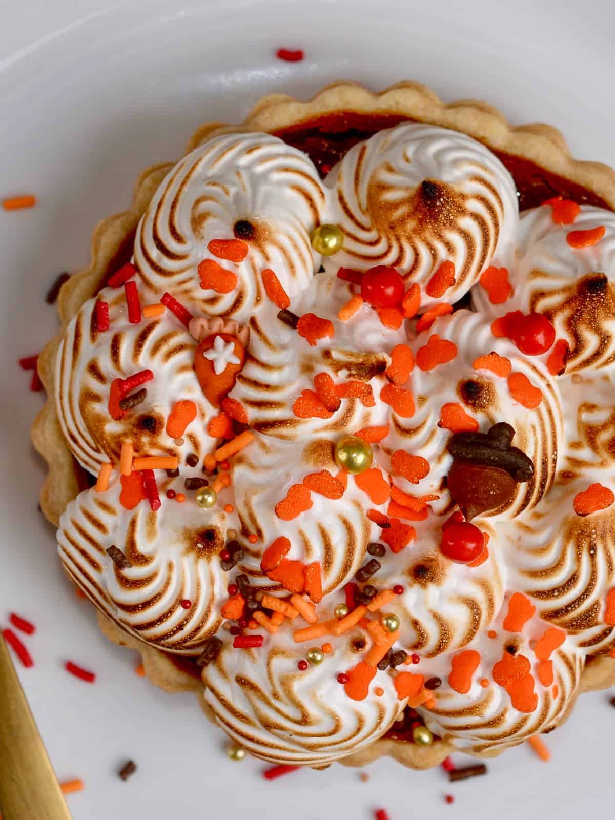 mini pumpkin pies with toasted italian meringue