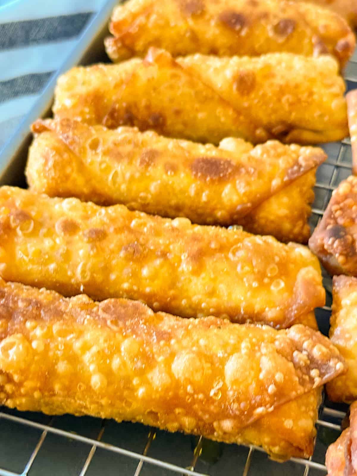 close up of buffalo chicken egg rolls