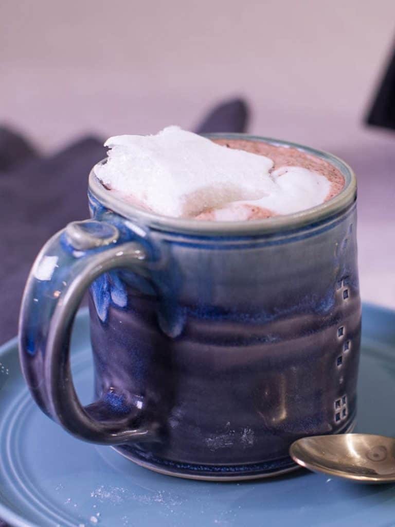 Cup of hot cocoa with homemade marshmallows.