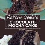 Bakery Quality Chocolate Cake Pinterest Pin