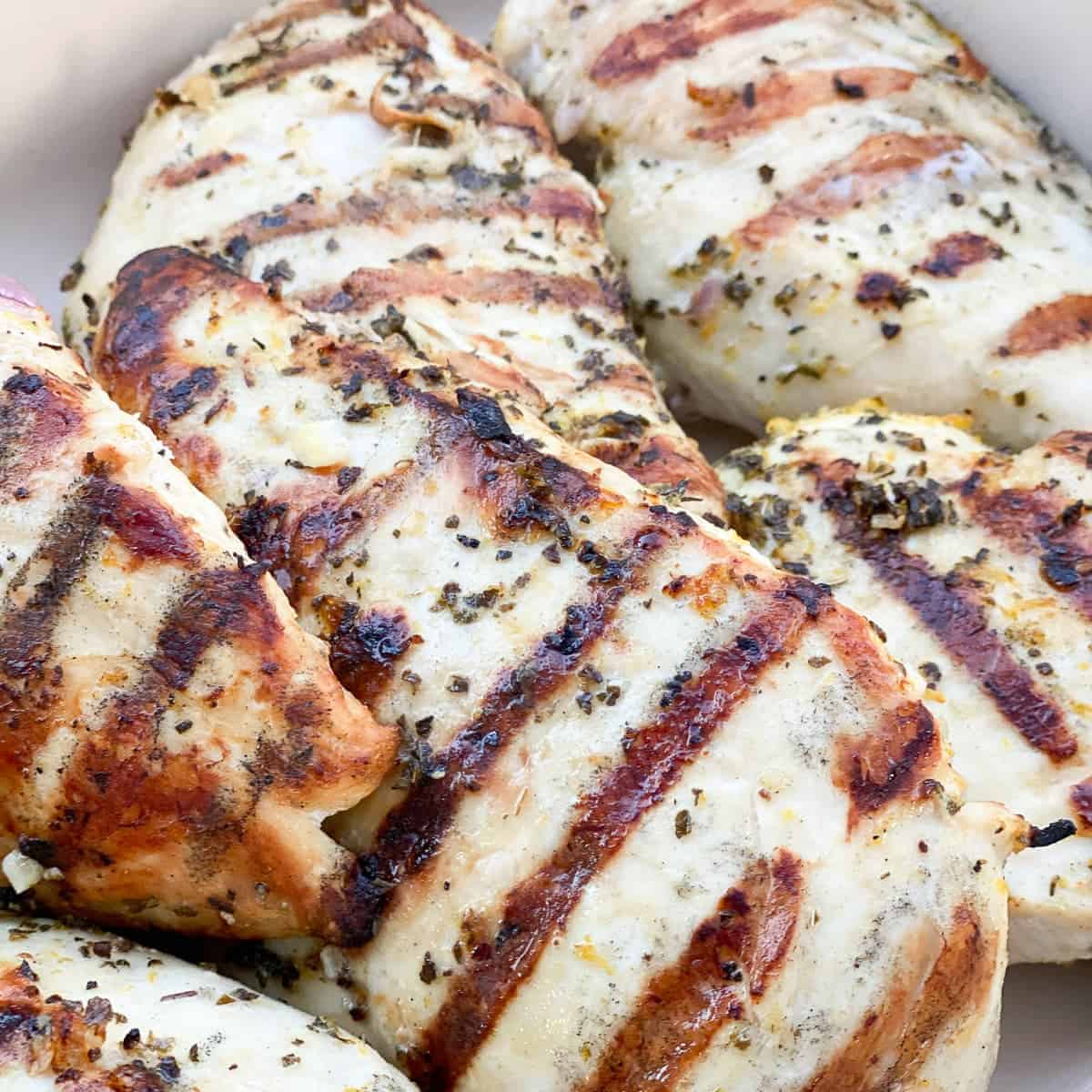 grilled chicken breast marinade in a white dish