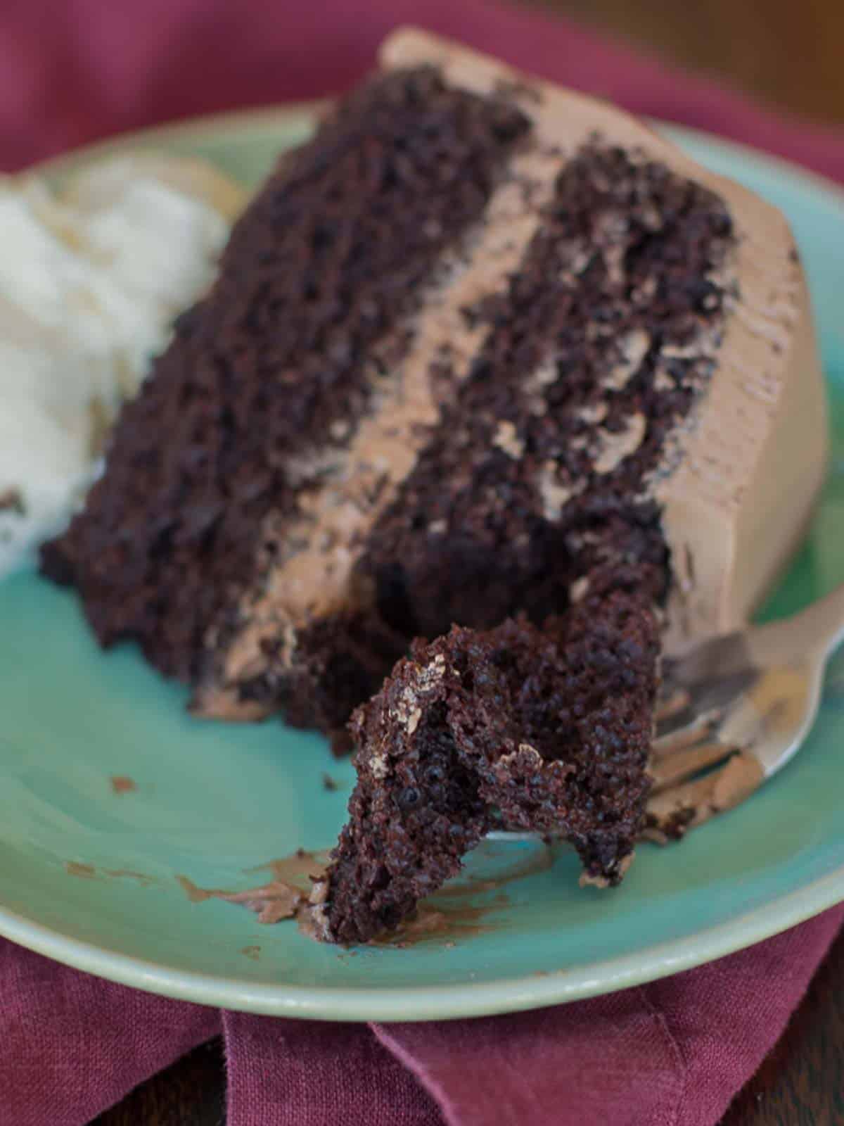 moist chocolate cake with fluffy mocha frosting on a plate