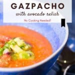 Gazpacho with avocado relish Pinterest Pin