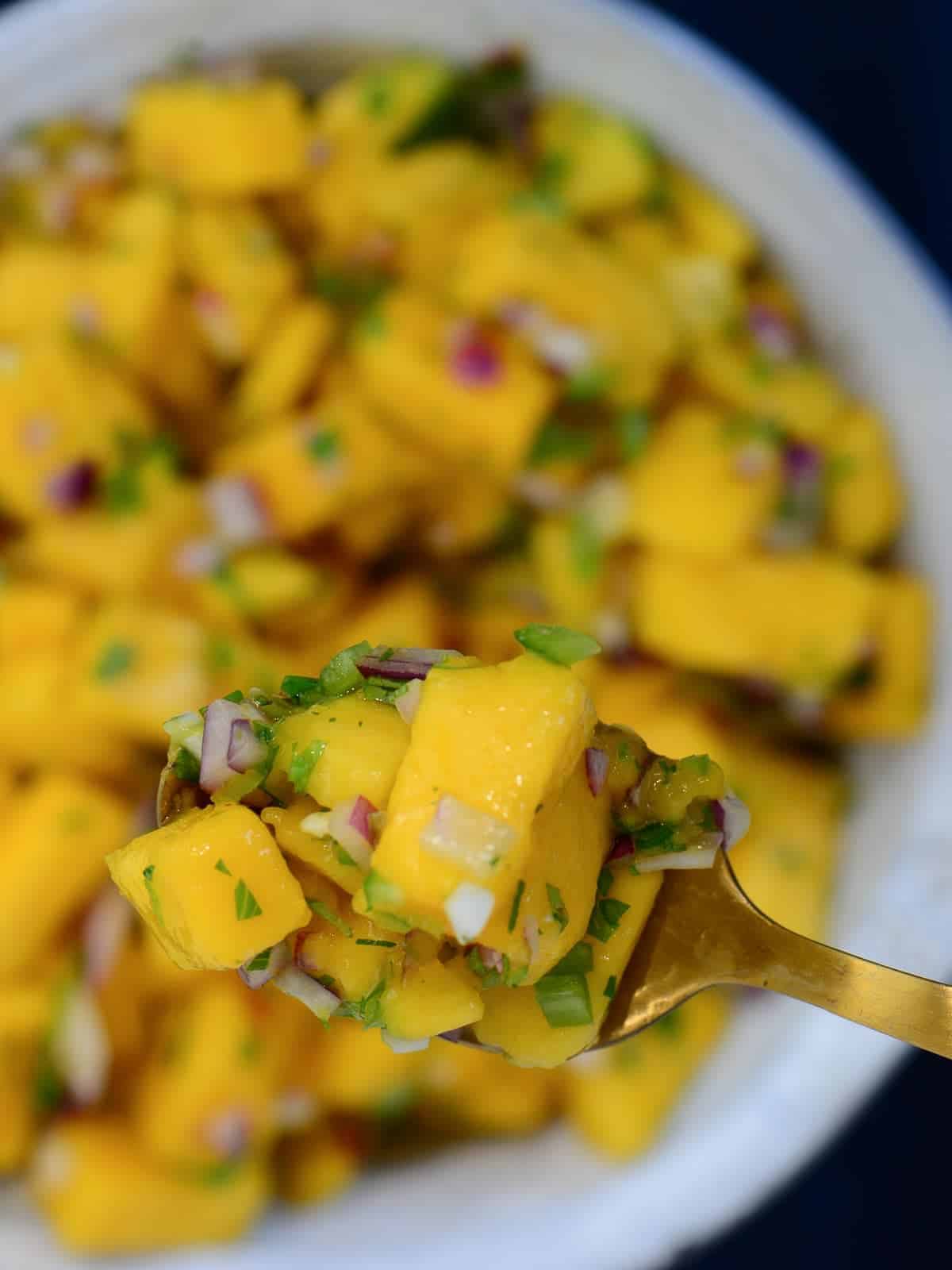 Mango Salsa Recipe - Foodology Geek
