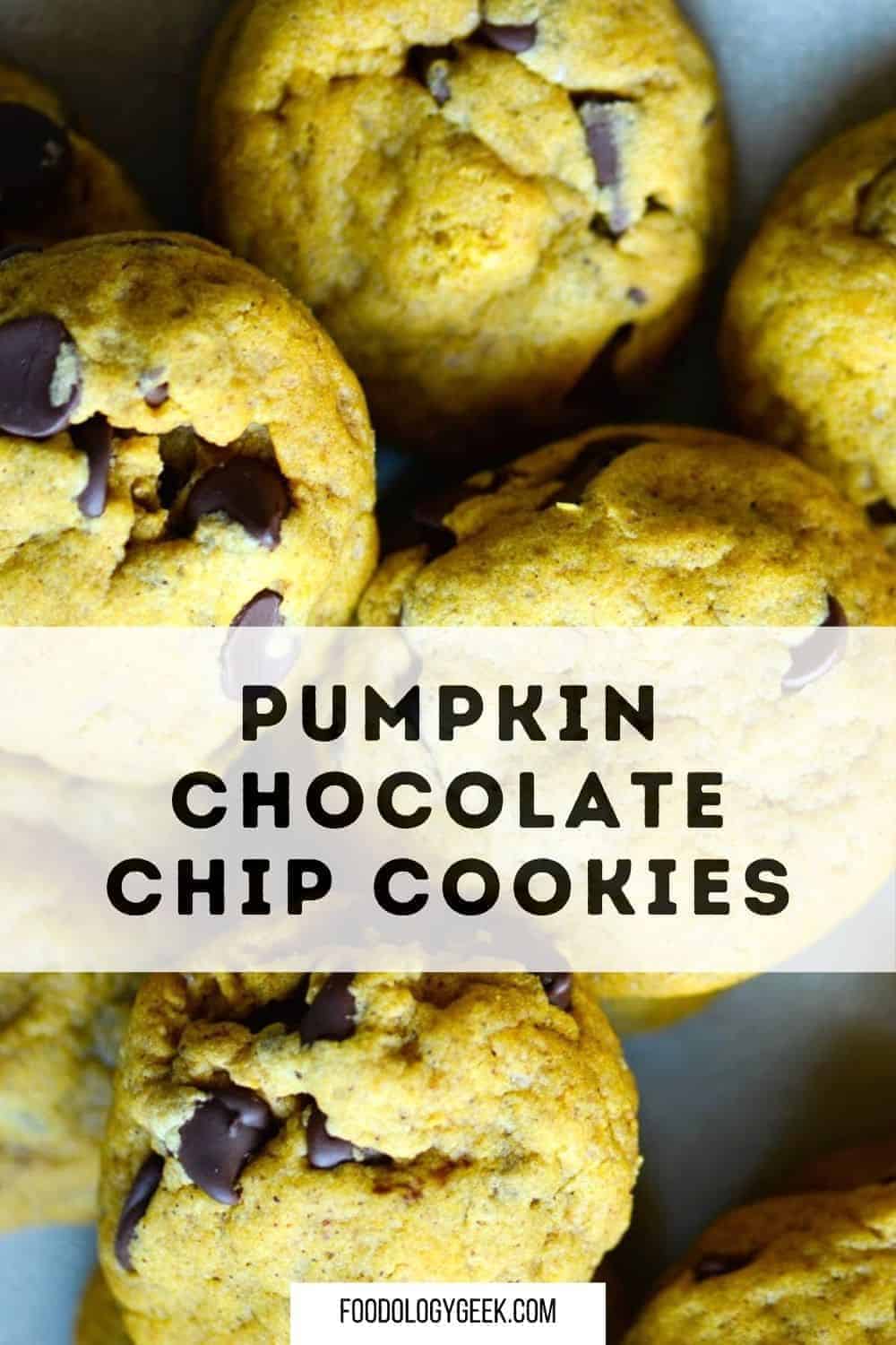 soft and chewy pumpkin chocolate chip cookies