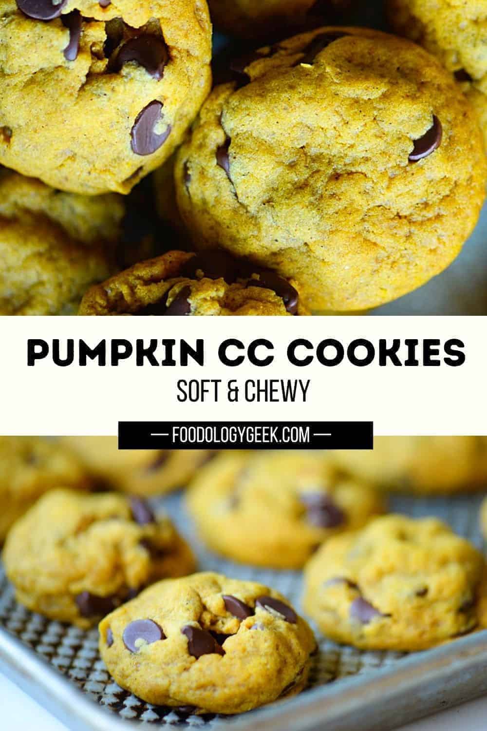 soft and chewy pumpkin chocolate chip cookies