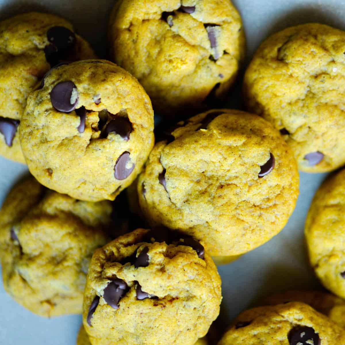 soft and chewy pumpkin chocolate chip cookies recipe