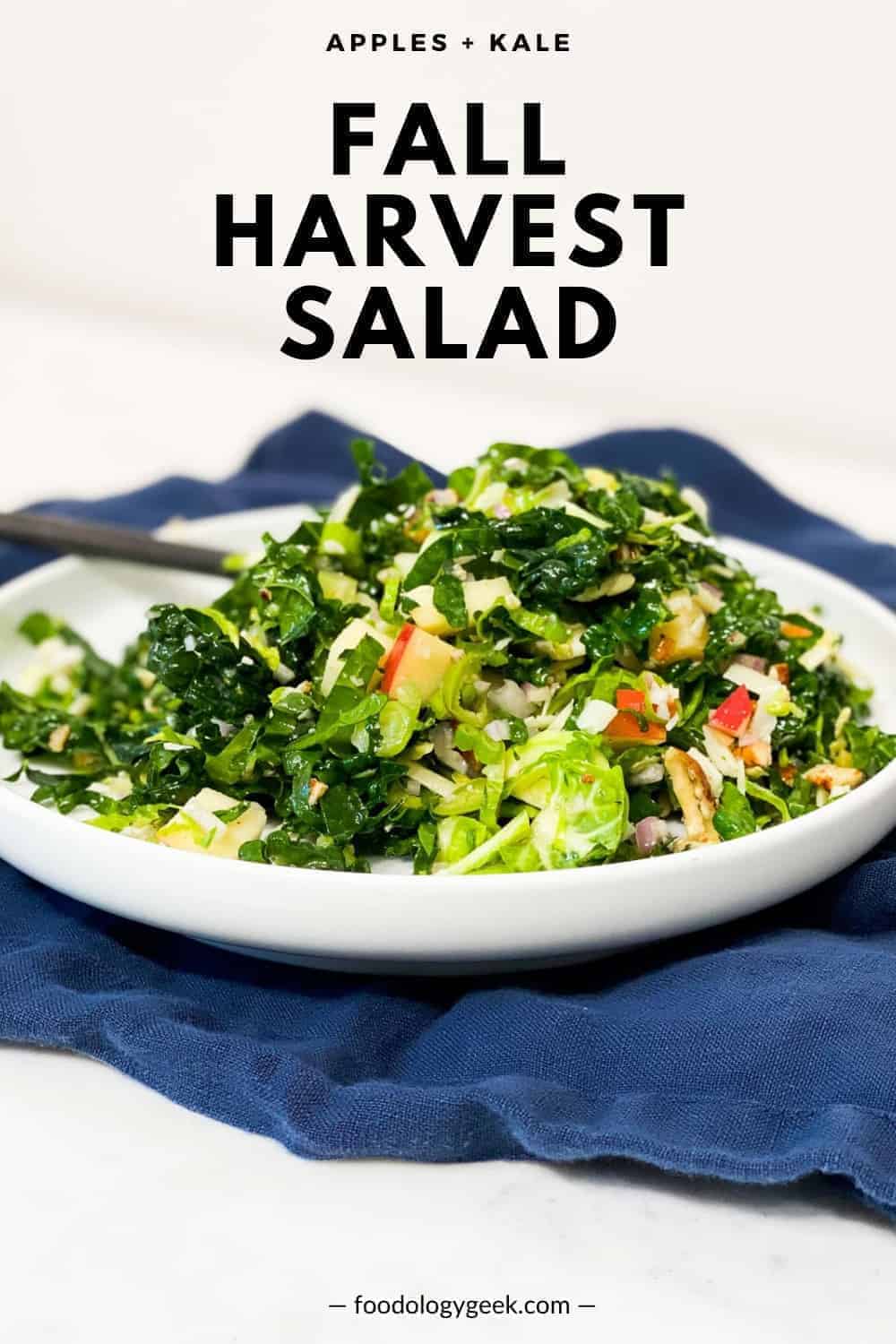 Fall Harvest Salad Recipe - Foodology Geek