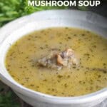 The Best Cream of Mushroom Soup Pinterest Pin