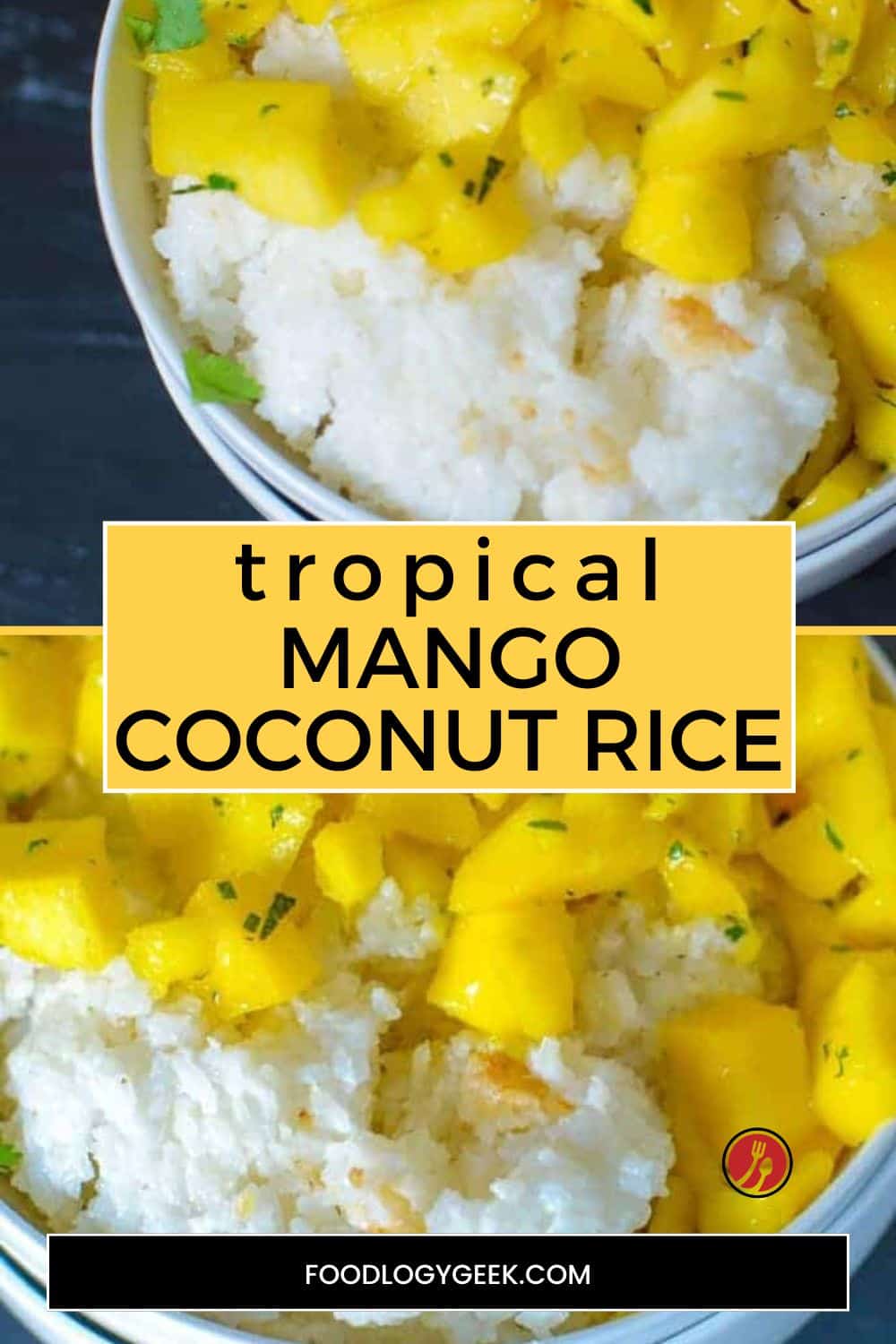Coco Mango Rice Coconut Rice with Fresh Mangoes - Foodology Geek