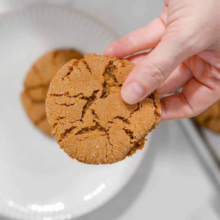 molasses crinkle cookie