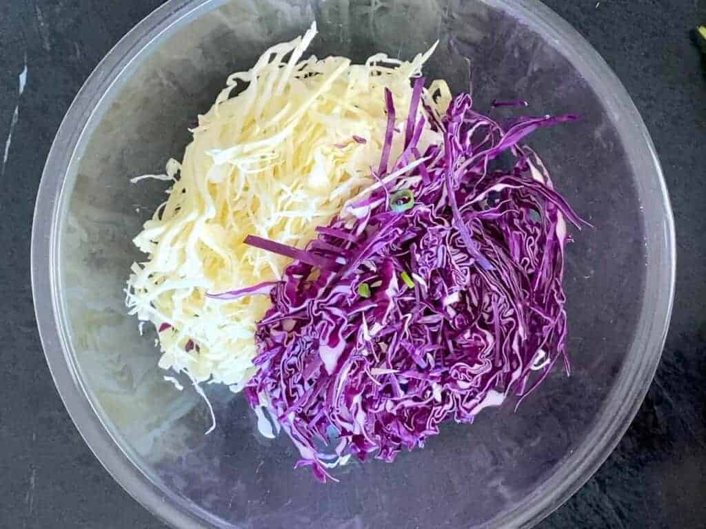 thinly sliced red and green cabbage