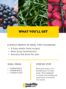 easy meal prep plan vol 1 what you get