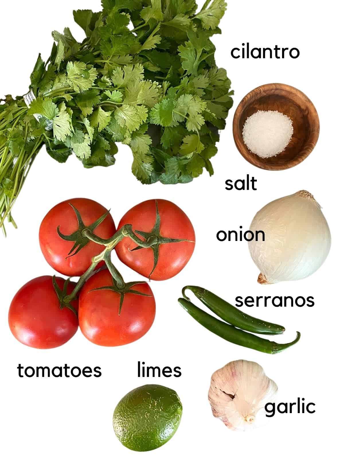 ingredients you'll need for pico de gallo, cilantro, tomatoes, salt, onion, peppers, garlic, and limes