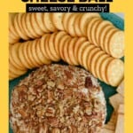 The Most Addictive Pineapple Cheese Ball Pinterest Pin