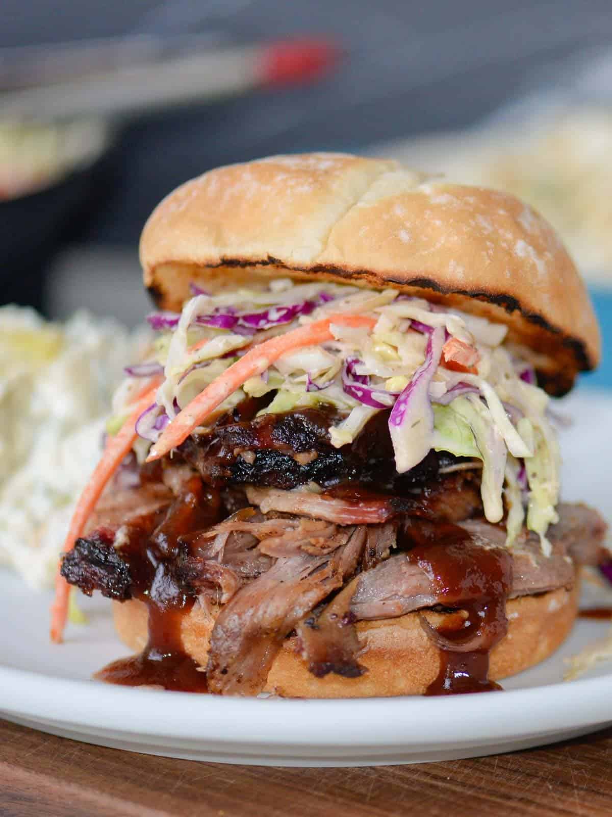 pulled pork sandwich with bbq sauce and southern coleslaw