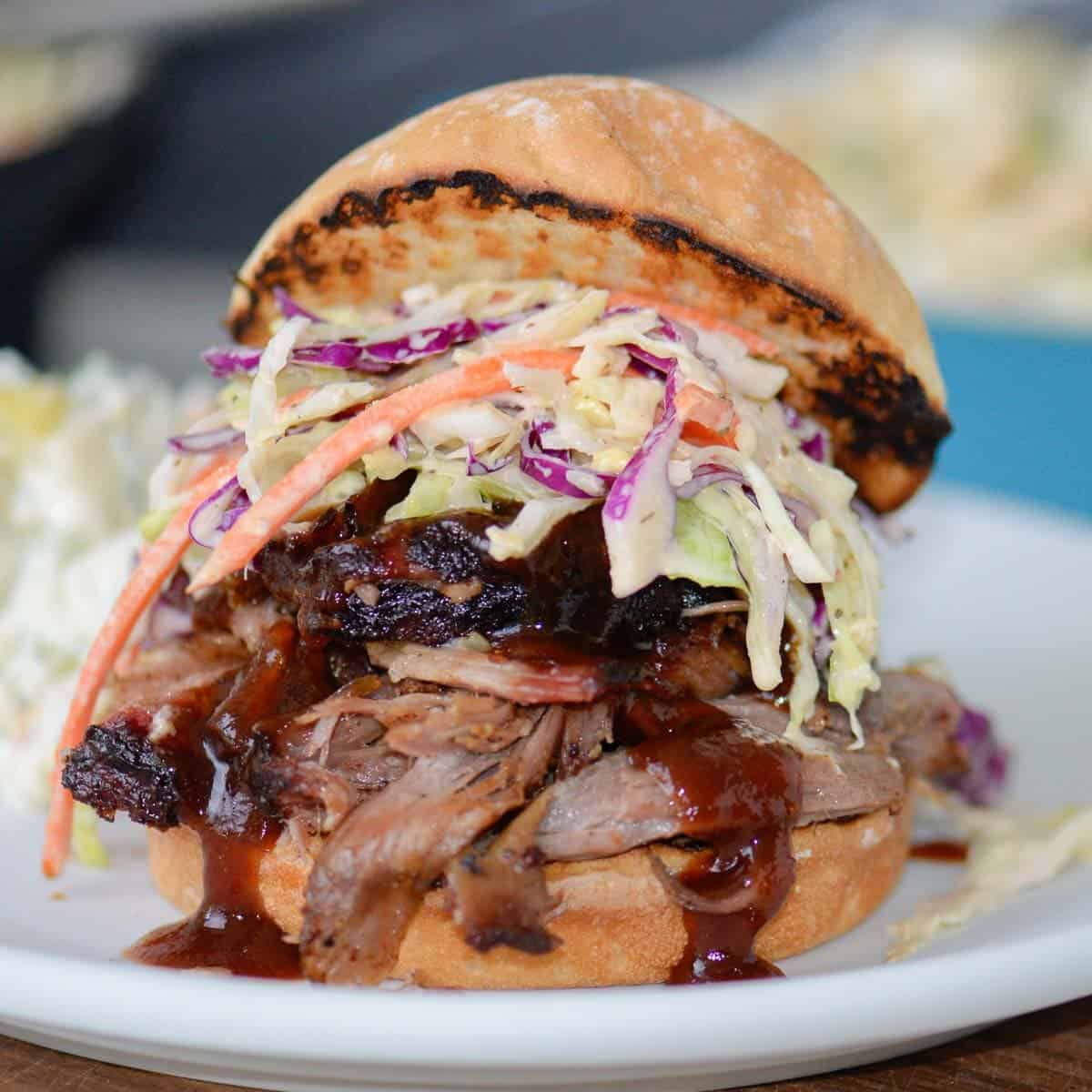 pulled pork sandwich with bbq sauce and coleslaw