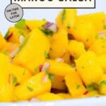 Fresh and Zesty Mango Salsa Pinterest Pin