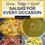Salsas for Every Occasion Pinterest Pin