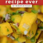 The Best Mango Salsa Recipe Ever Pinterest Pin