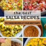The Best Salsa Recipes Pinterest PIn