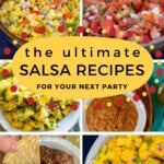 The Ultimate Salsa Recipes Pinterest Pin