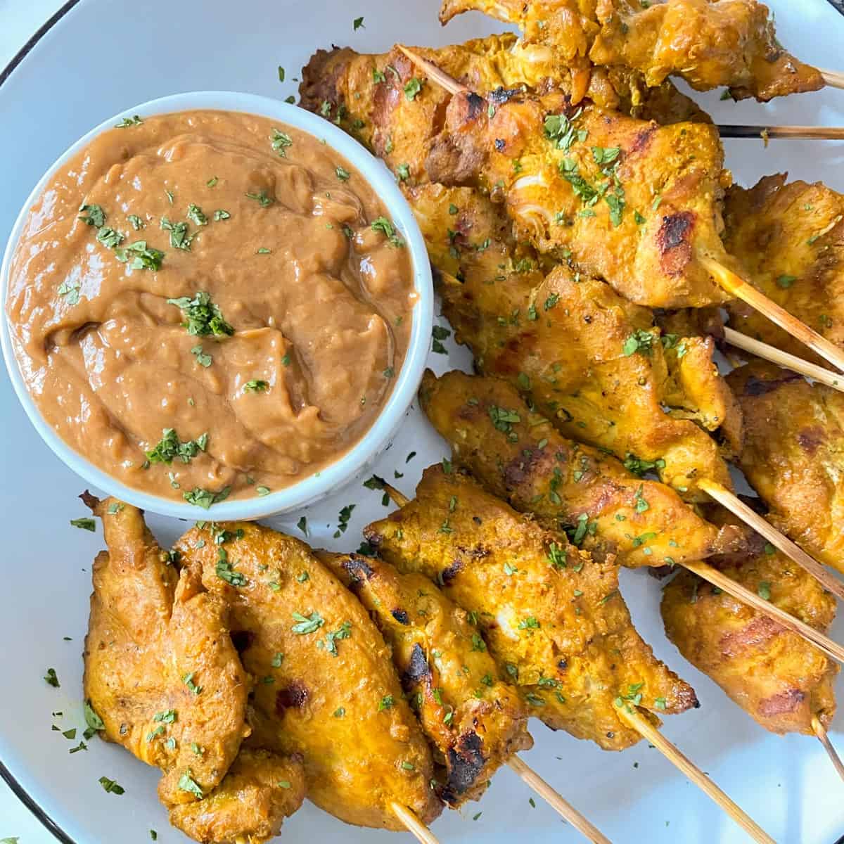 https://www.foodologygeek.com/wp-content/uploads/2021/07/chicken-satay-recipe.jpg