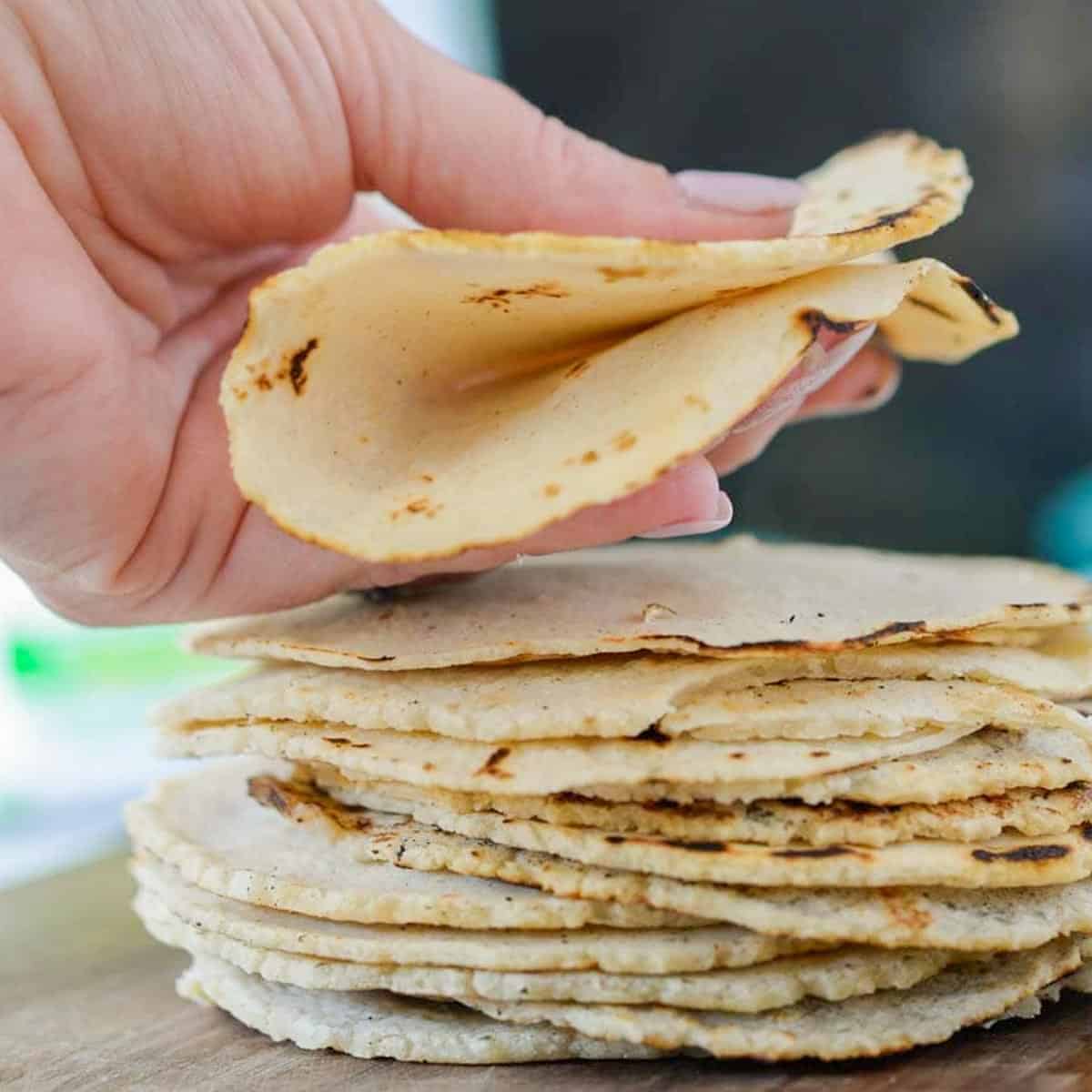 soft corn tortillas a stack and one is a womans hand