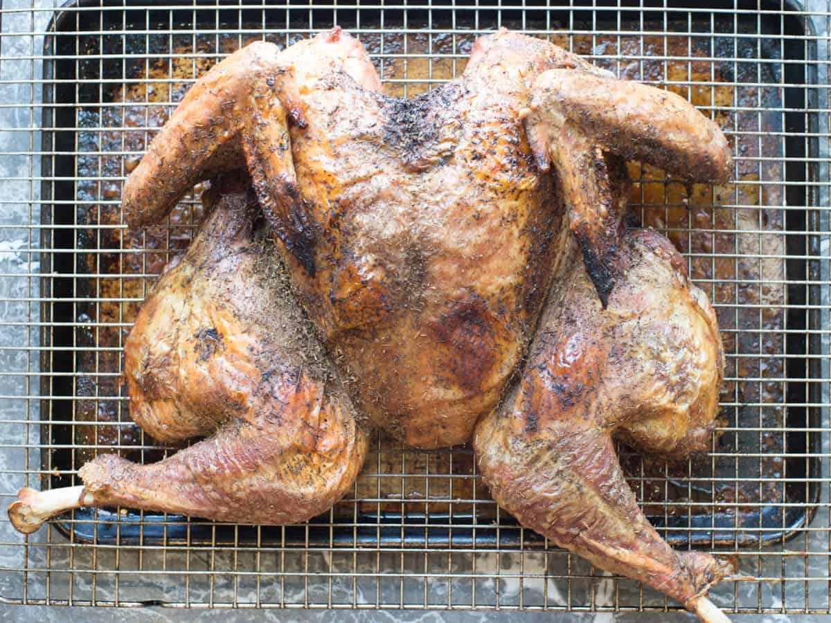 oven roasted spatchcock turkey