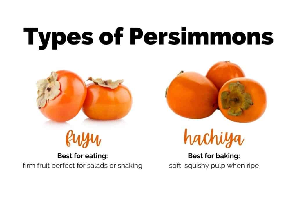 types of persimmons most commonly used in baking