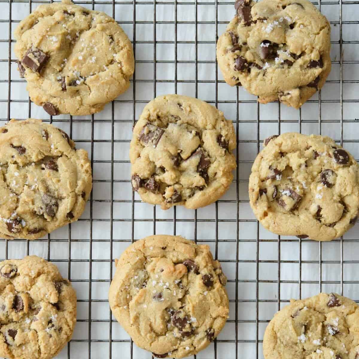 salted chocolate chip cookies on a baking rack