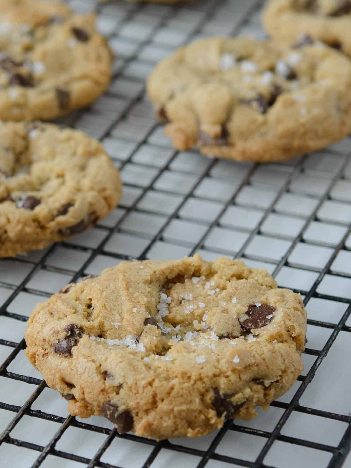 chocolate chip cookies cooling