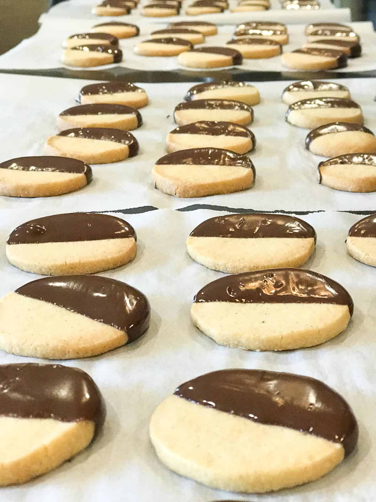 chocolate chipped shortbread cookies