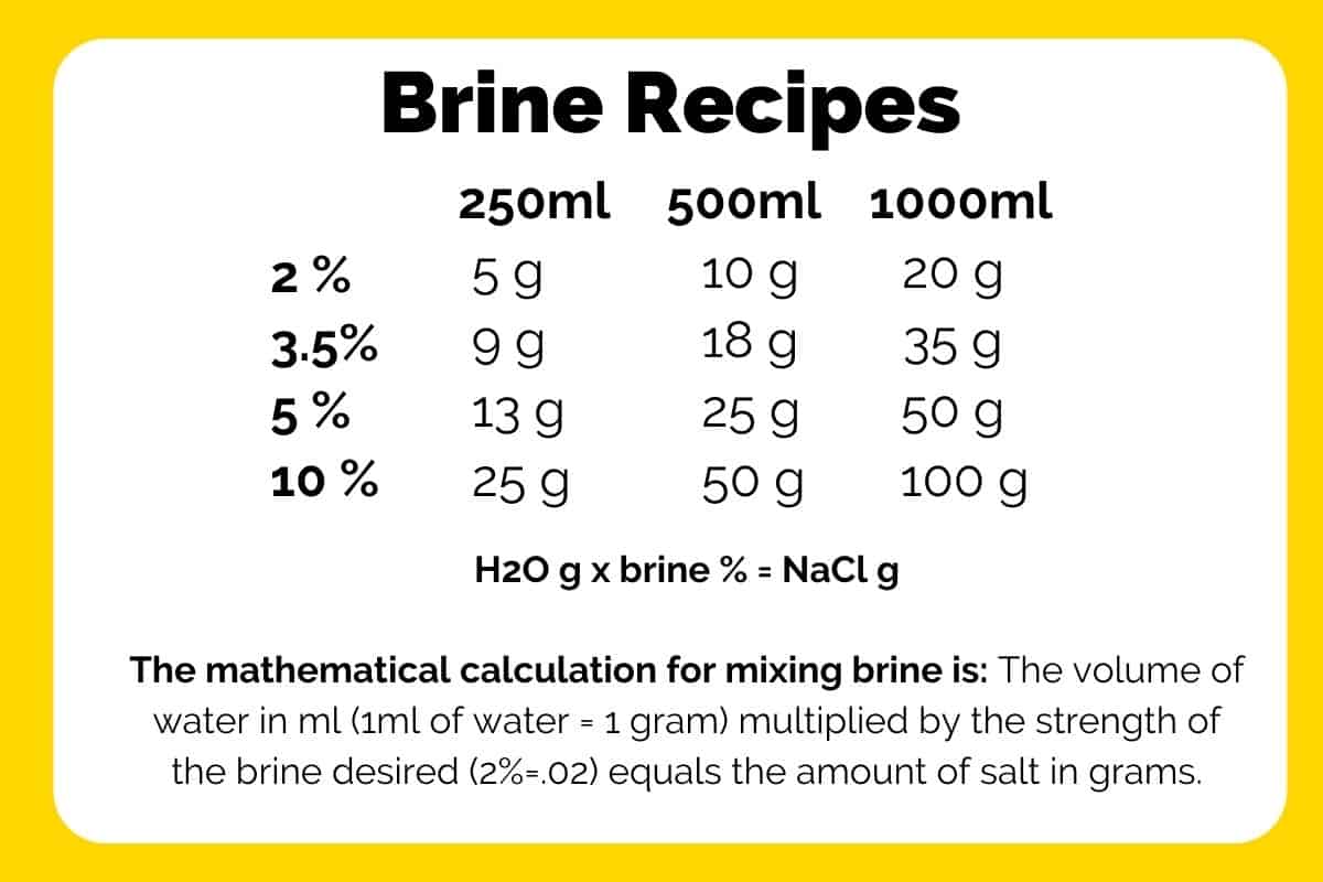 brine recipes for making pickles