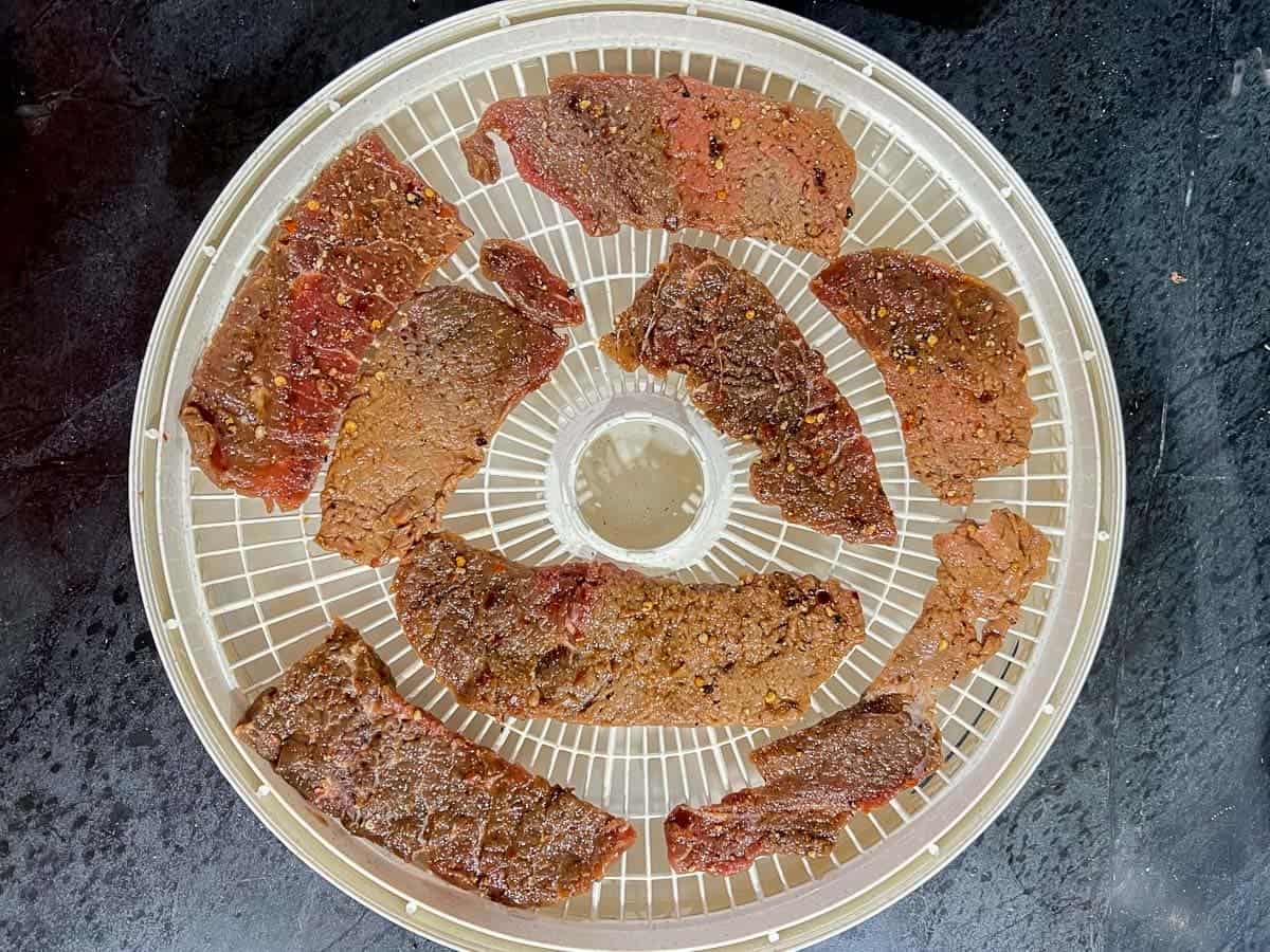 place the slices of beef in a single layer on the dehydrator tray