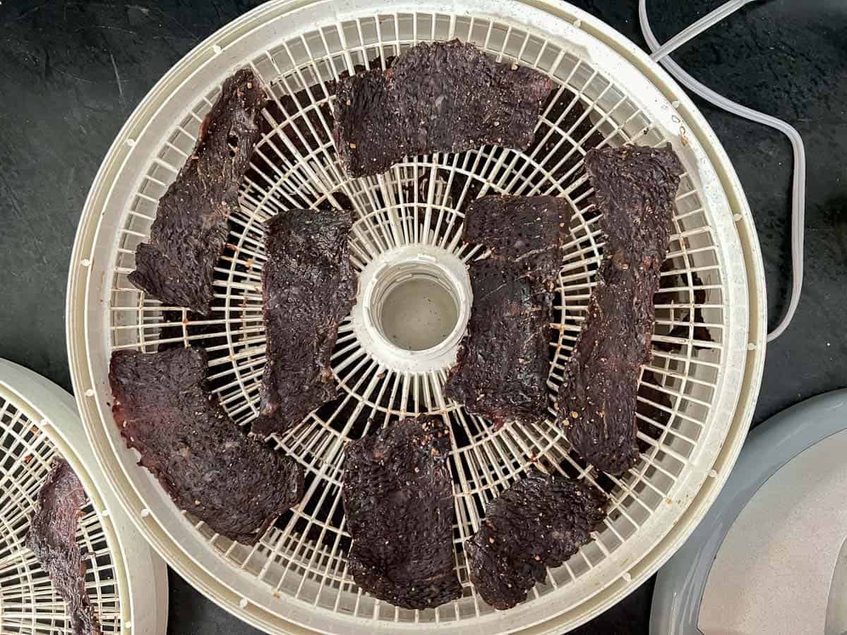 dry in the dehydrator