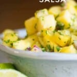 spicy pineapple salsa recipe pinterest pin