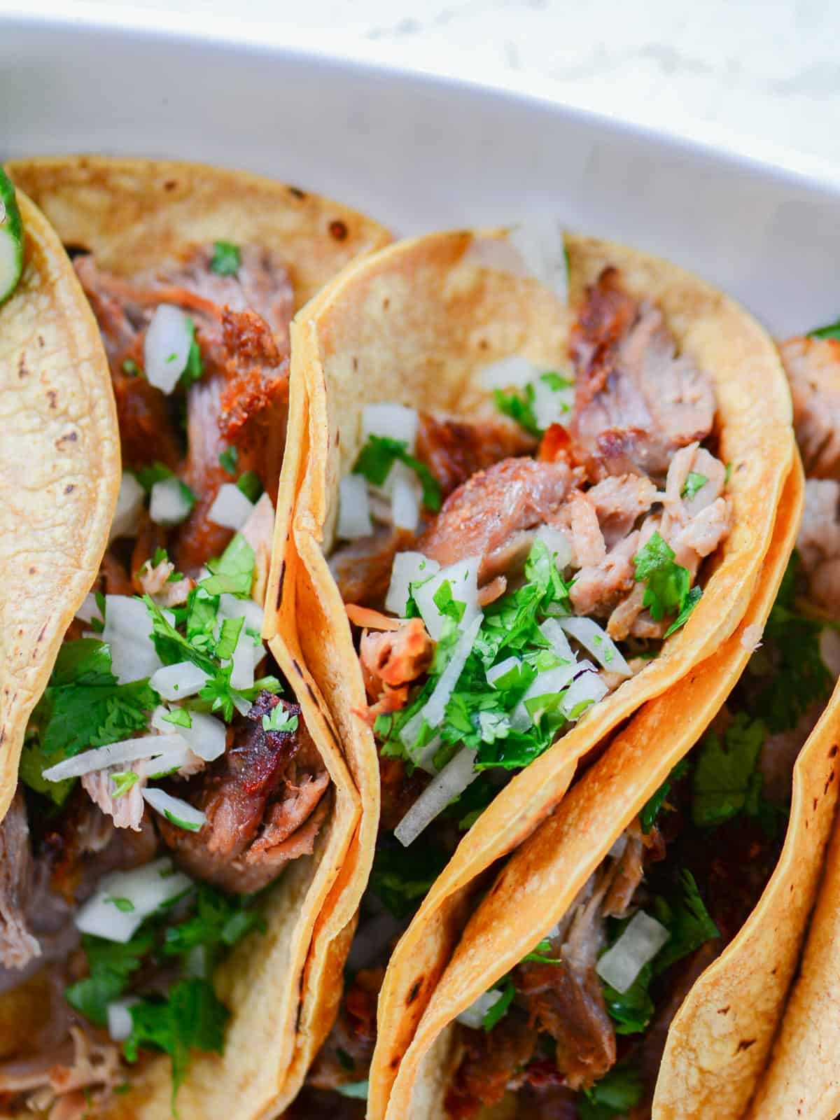 pork tacos with corn tortillas, topped with cilantro and onions