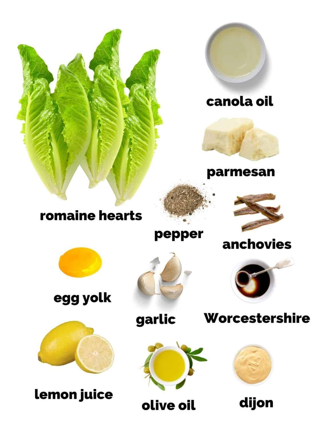 ingredients for caesar salad dressing