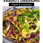 Homemade Asian Slaw With Peanut Dressing Pinterest Pin