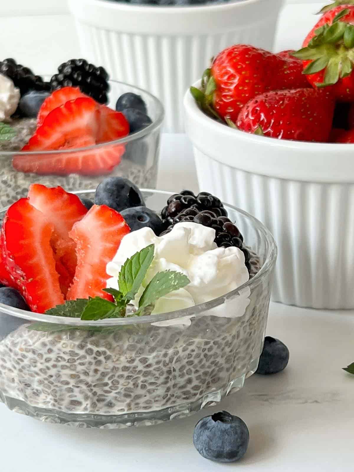 two bowls of chia pudding made with coconut milk