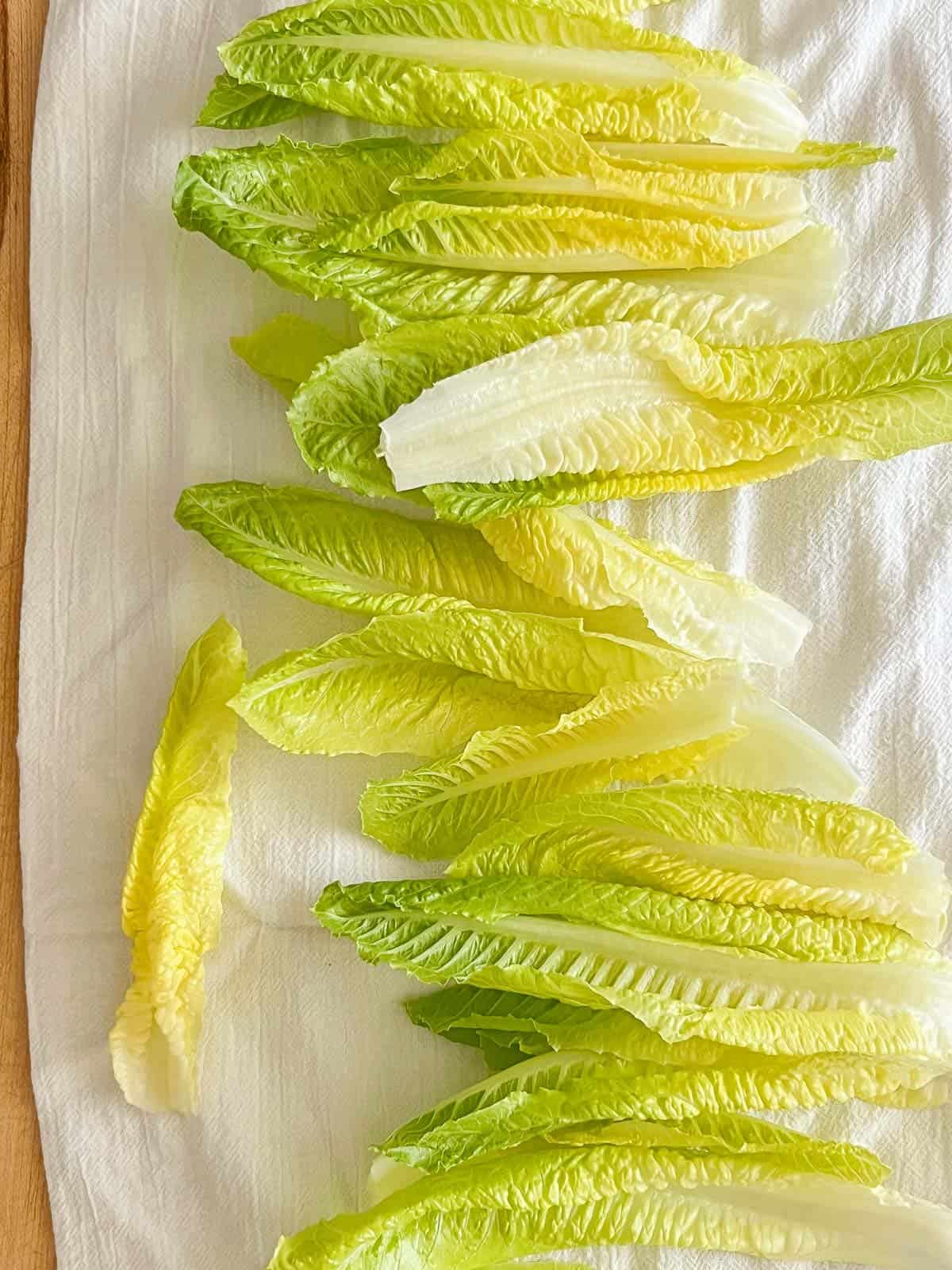 washed romaine hearts drying on a white flour sack towel