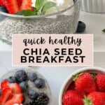 Quick healthy Chia Seed Breakfast Image