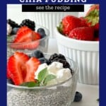 Creamy Dairy Free Chia Seed Pudding Image