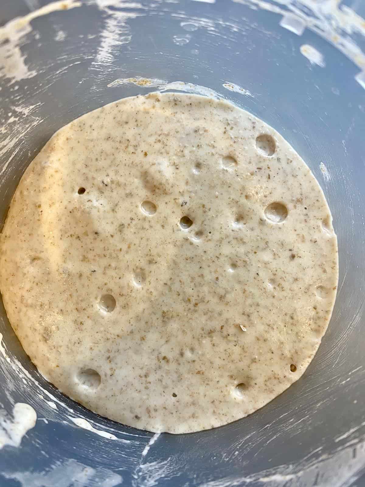 active sourdough started showing the formation of bubble resulting from fermentation