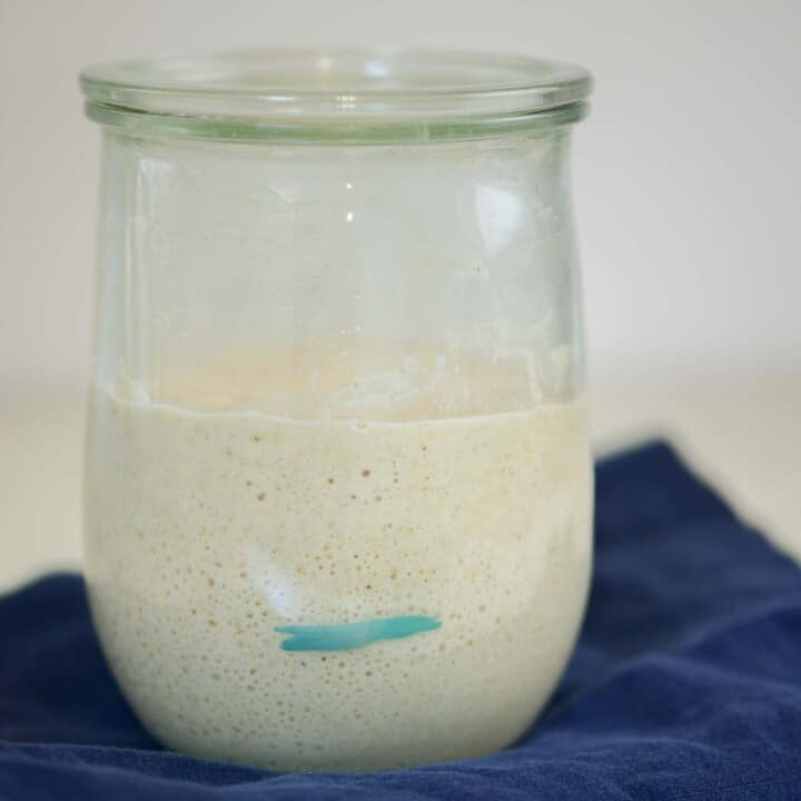 sourdough starter in a weck jar showing fermentation process