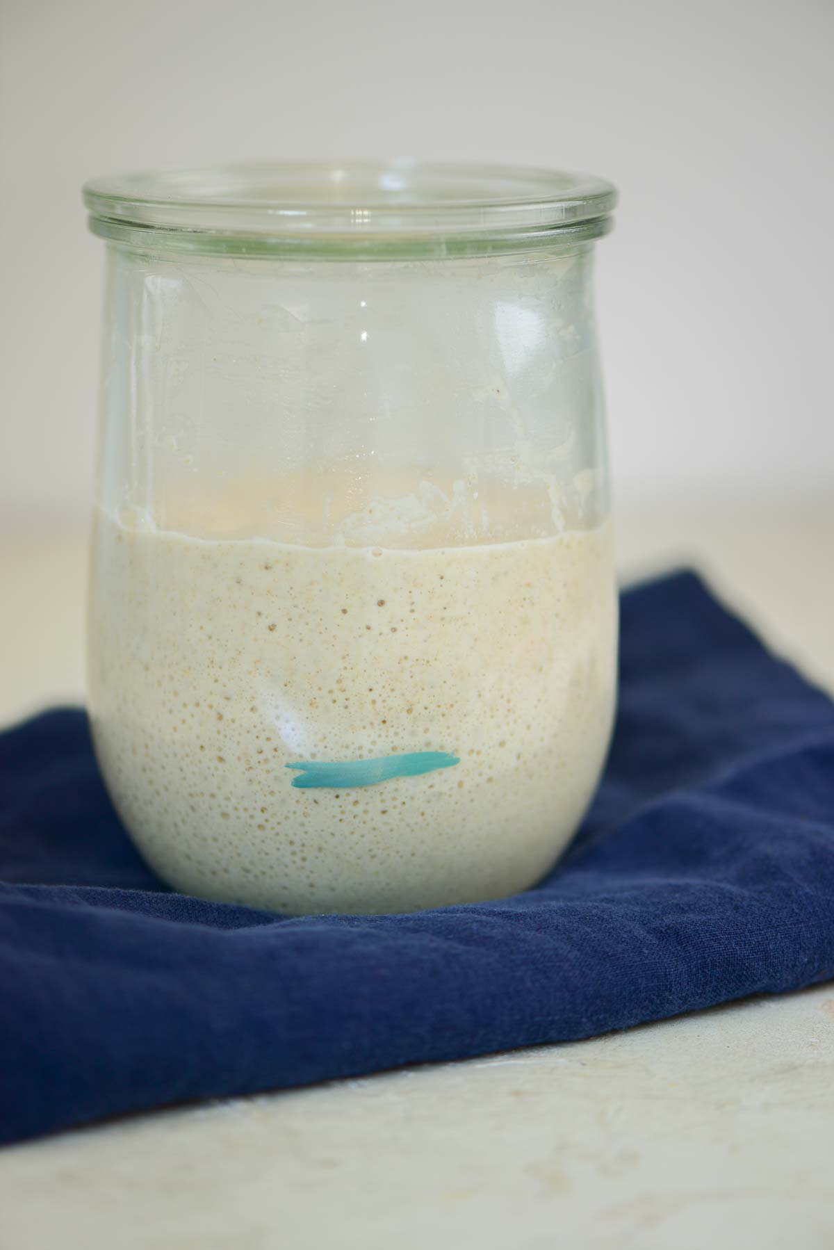 homemade sourdough starter fermenting in a glass jar